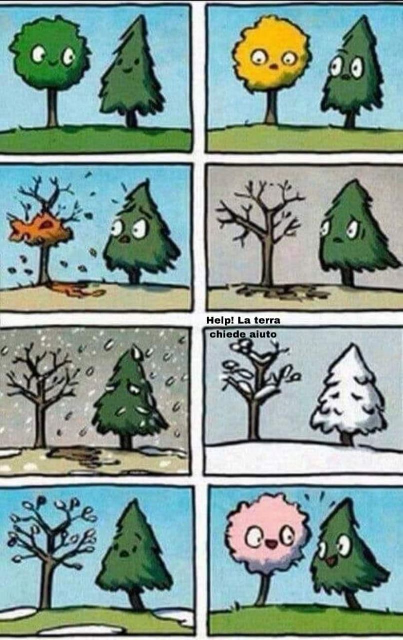 Vignetta con un albero e un abete che attraversano le stagioni